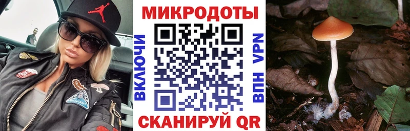 купить  сайты  Ковров  Псилоцибиновые грибы мицелий 