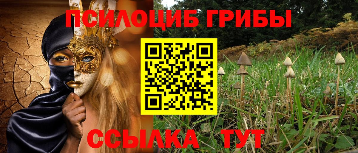 Галлюциногенные грибы GOLDEN TEACHER  купить закладку  Ковров  Галлюциногенные грибы Psilocybe  Вход с VPN 
