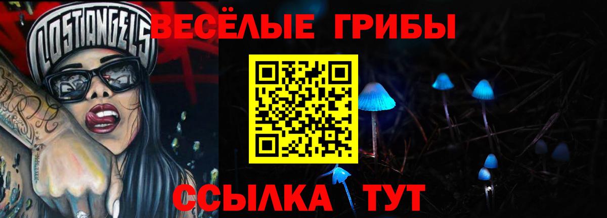Галлюциногенные грибы прущие грибы Ковров
